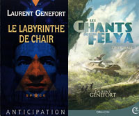 Le Labyrinthe de chair Le Labyrinthe de chair